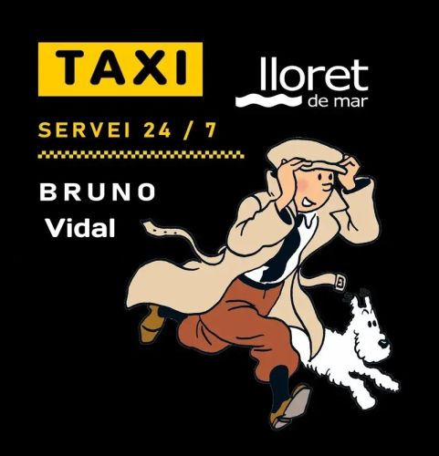 Diseño web para Taxi-lloretdemar