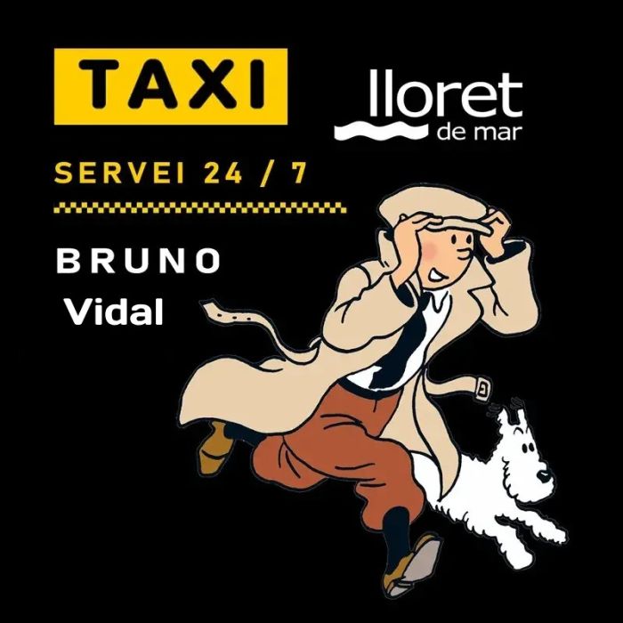 Diseño web para Taxi-lloretdemar