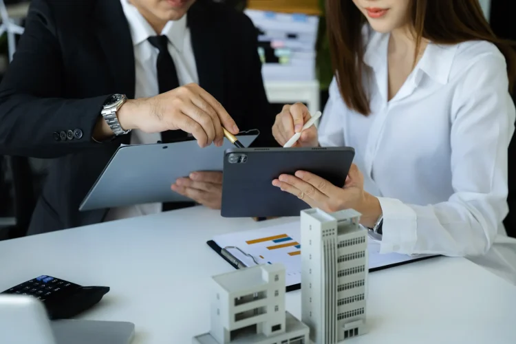 Diseño web para Consulting de la Vega