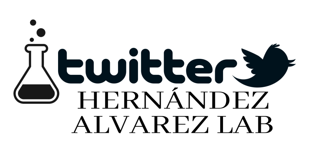 Diseño web para Hernández Álvarez lab